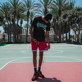 Elite Socks in Black/White